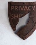 privacy shield broken